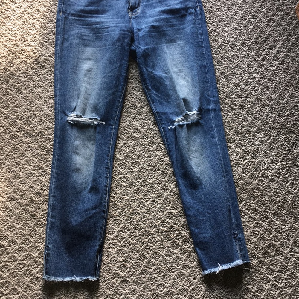 Flying Monkey Bundle - image 1